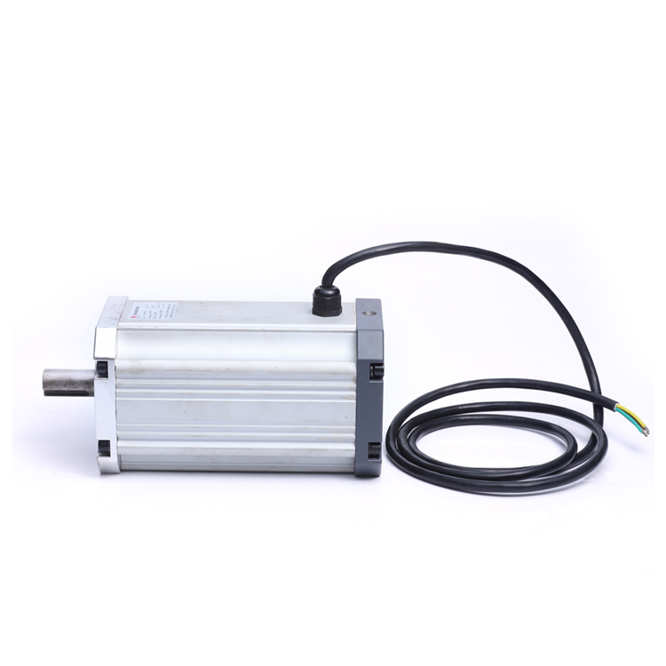 24V 1500W 1500 об/мин с бесщеточным двигателем постоянного тока мотор BLDC IP54 Датчик Холла