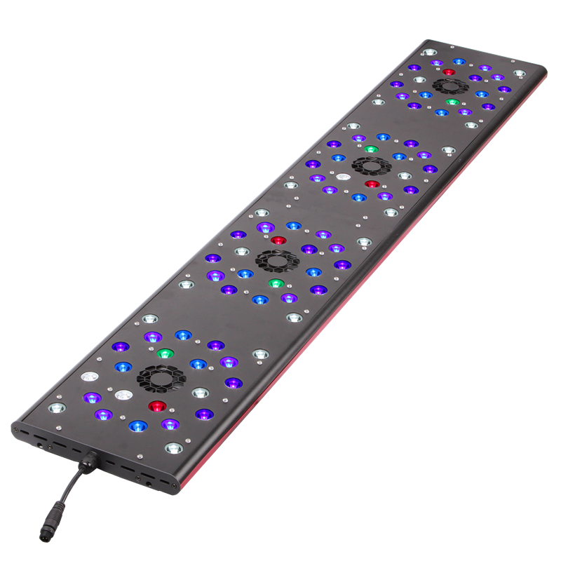 EverGrow 5060 привело аквариум для коралловых рифов соленой воды