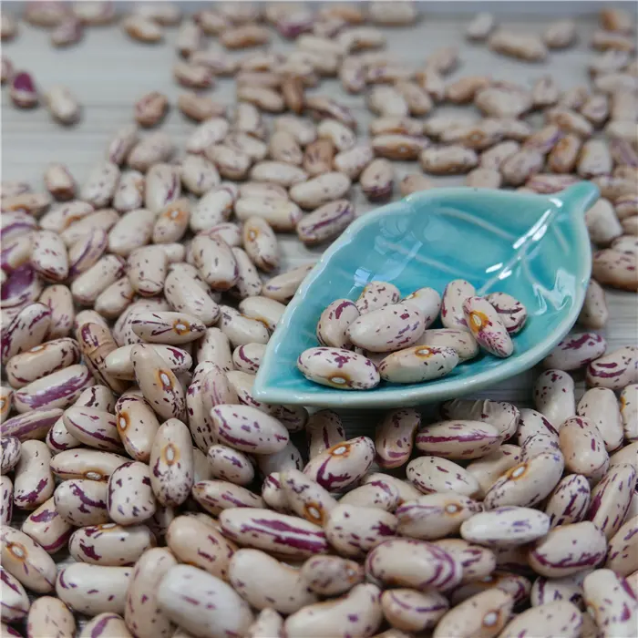 2019 new crop,long/round type Best Light Speckled Kidney Beans