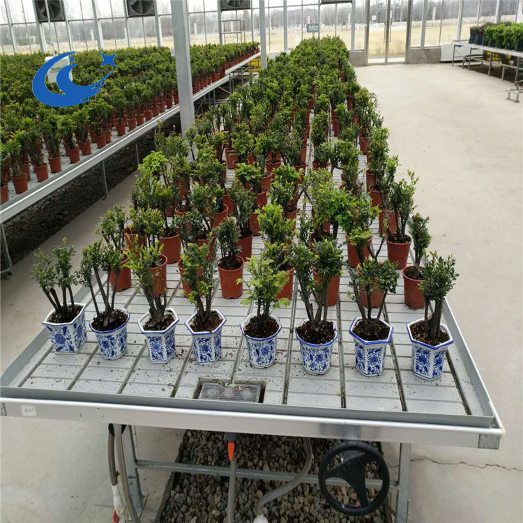 Aquaponics системы для выращивания поддонов отлива и потока прокатки скамейки