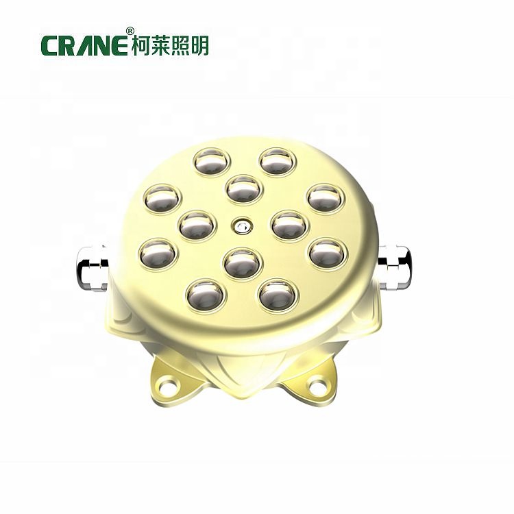Outdoor Waterproof IP65 point light source or building decoration Point Lighting