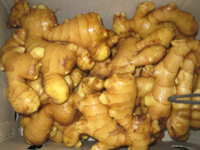 ginger fresh