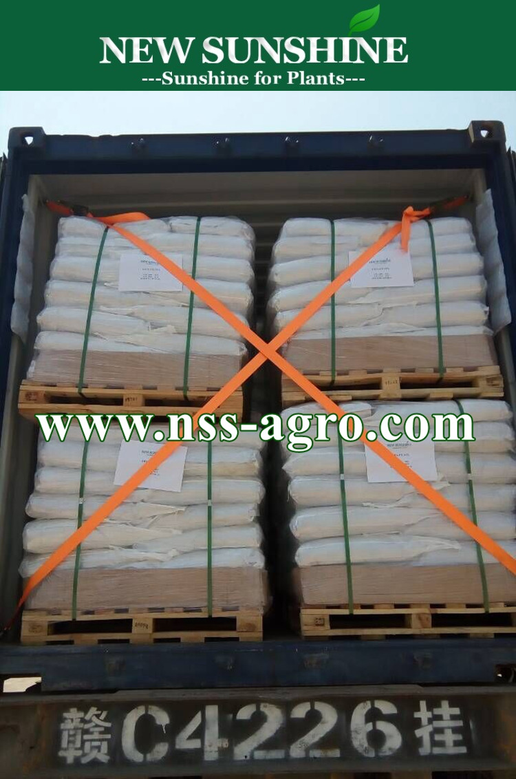 Manufacturer Organic Fertilizer 15% EDTA Zn