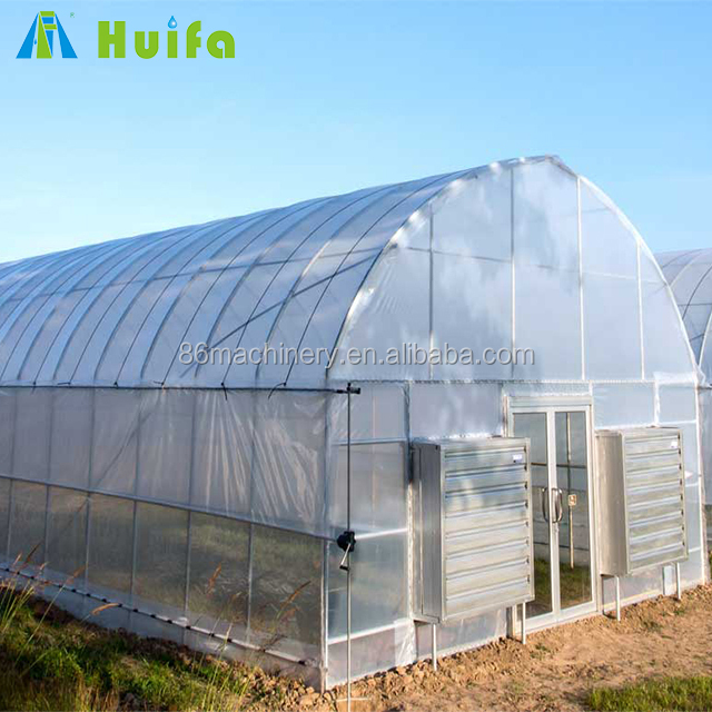 Plastic Shed Single-span Greenhouse Agricultural Products
