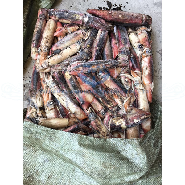 Весь круглый замороженный черный кальмар Jigger Catch