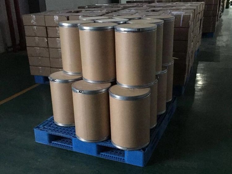 Горячая продажа здравоохранения натуральный экстракт турецкого хвоста Грибной Порошок