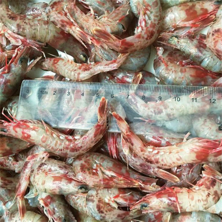 Сушеные креветки хорошего качества для китайских морепродуктов