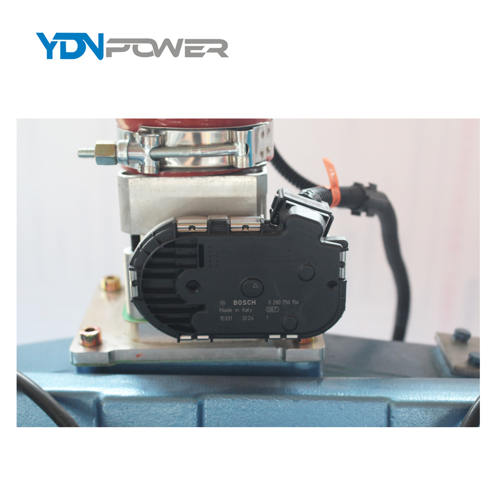 Южноафриканский рынок 160 кВт 200 кВА YDNPOWER генератор биогаза