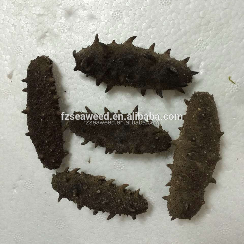 Buyers of sea cucumber