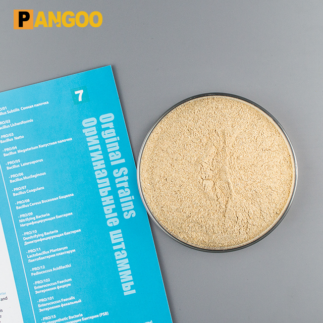 Photosynthetic bacteria probiotics raw material