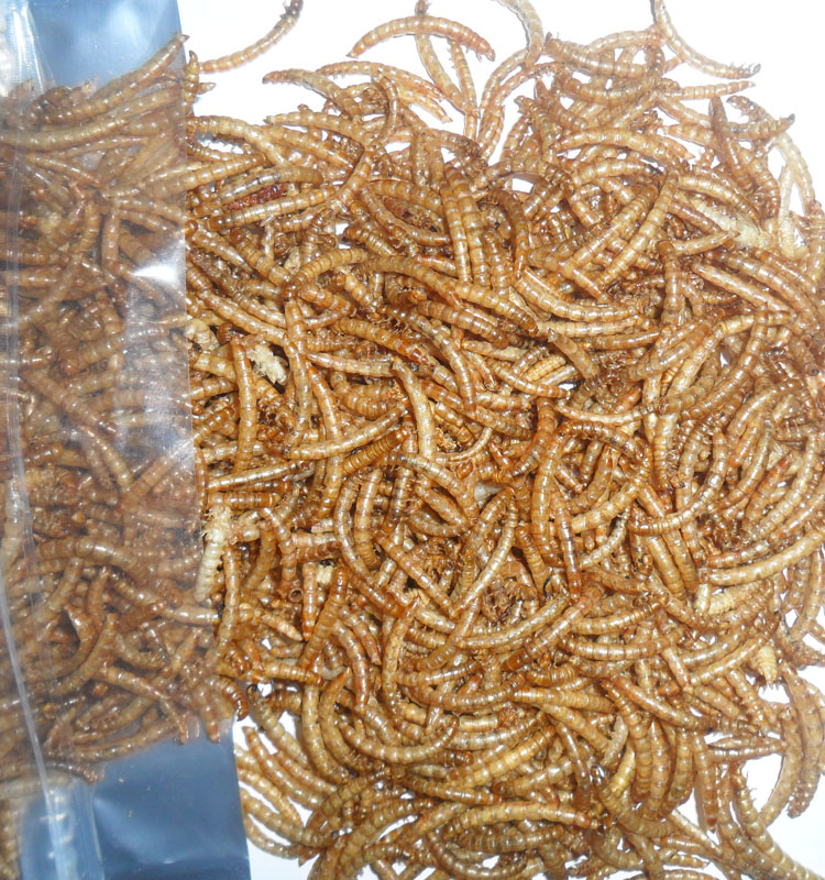 Хорошее качество духовки-запеченный mealworm птица еда