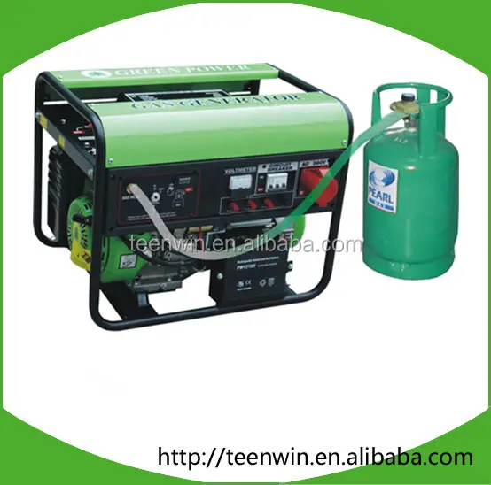 Teenwin biogas electric generator