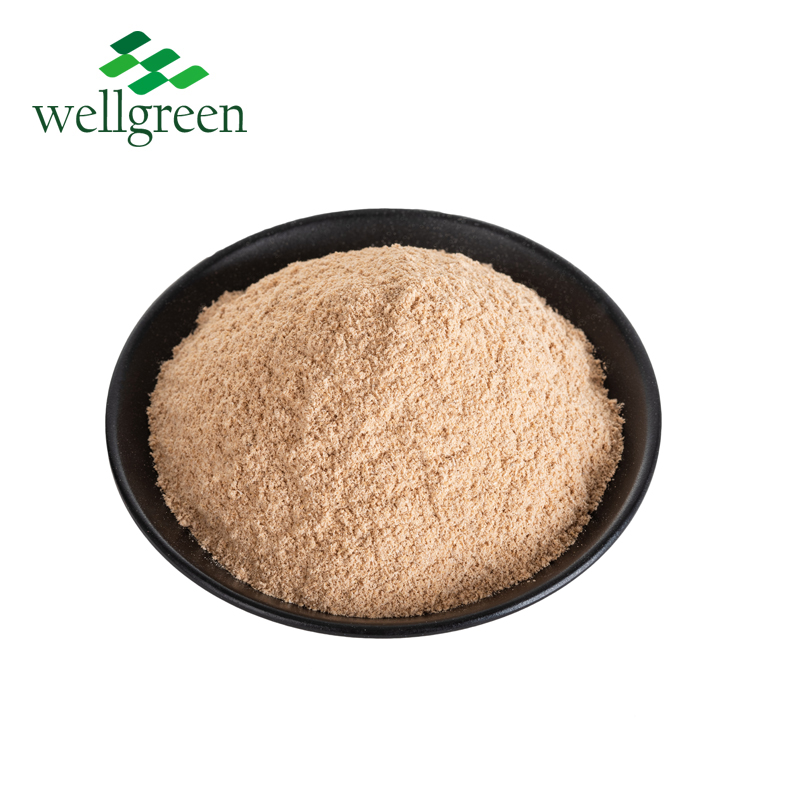 Высокопротеиновый корм nutaitional дополнение maggot protein powder