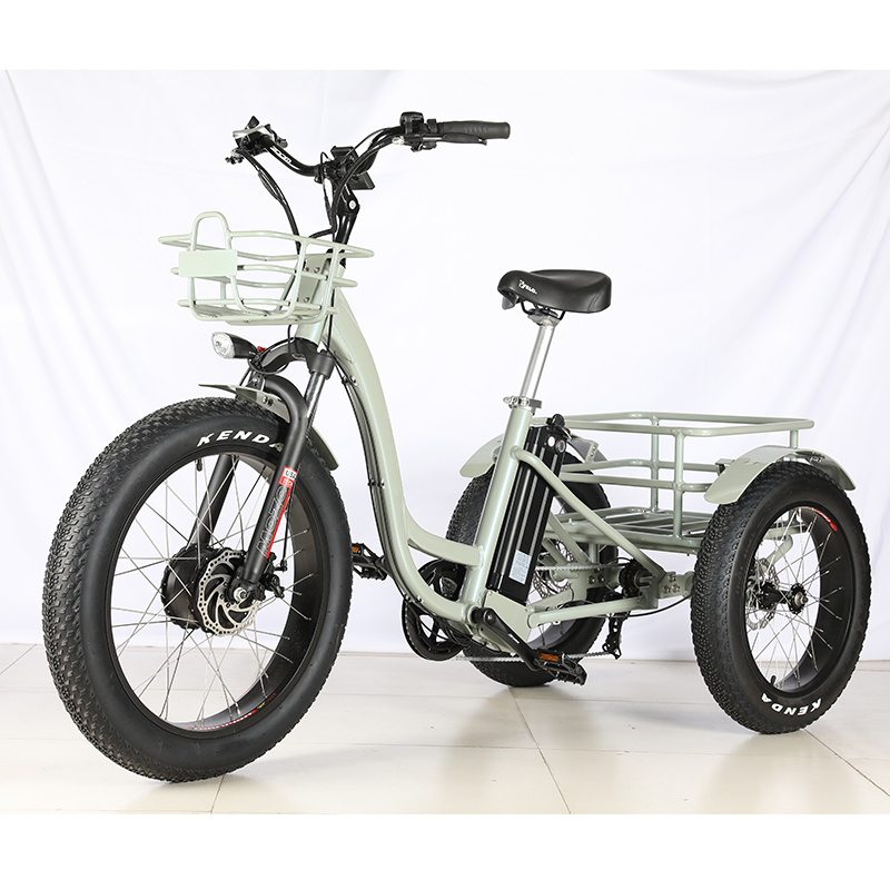 48v 500w 750w 1000w переднего приводного двигателя 10-19,2 Ah литиевая батарея с питанием от грузовой Электрический толстыми покрышками трехколесный велосипед
