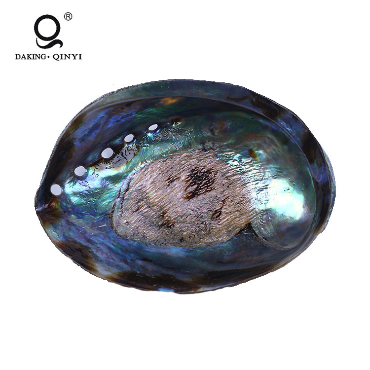 Китай, Abalone Paua Shell, лак для ногтей, оболочка, бумага, натуральная оболочка