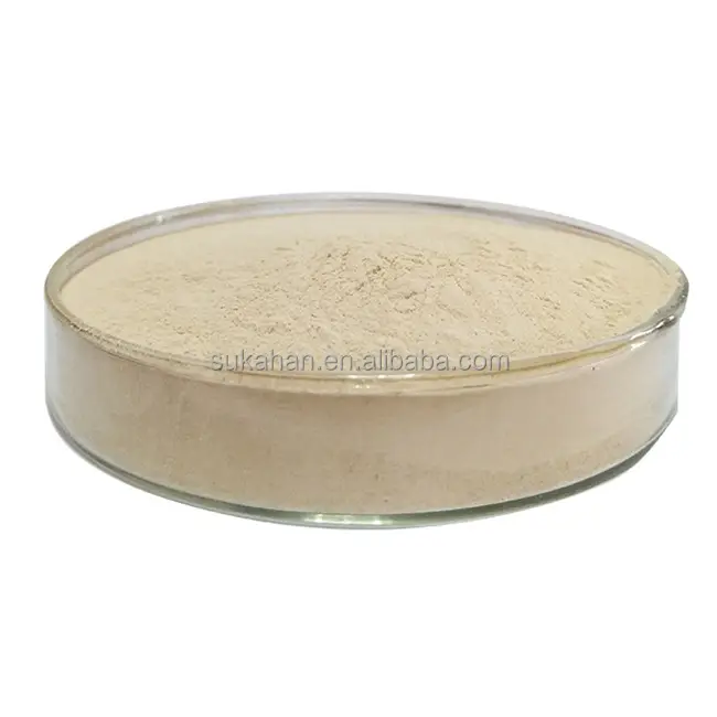multi functions bacteria  Bacillus subtilis