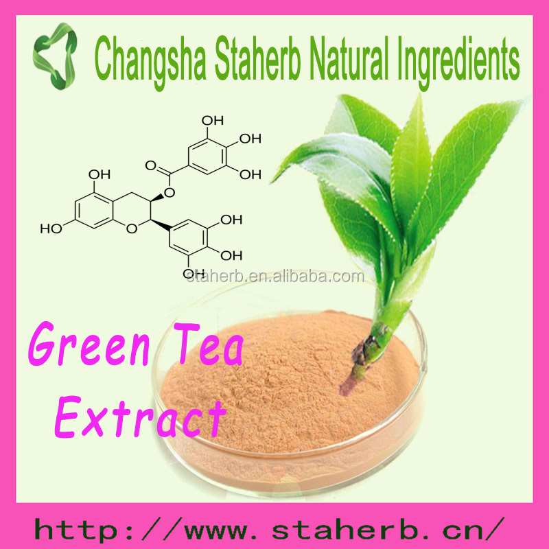 Hot selling top quality Green tea extract EGCG instant green tea powder