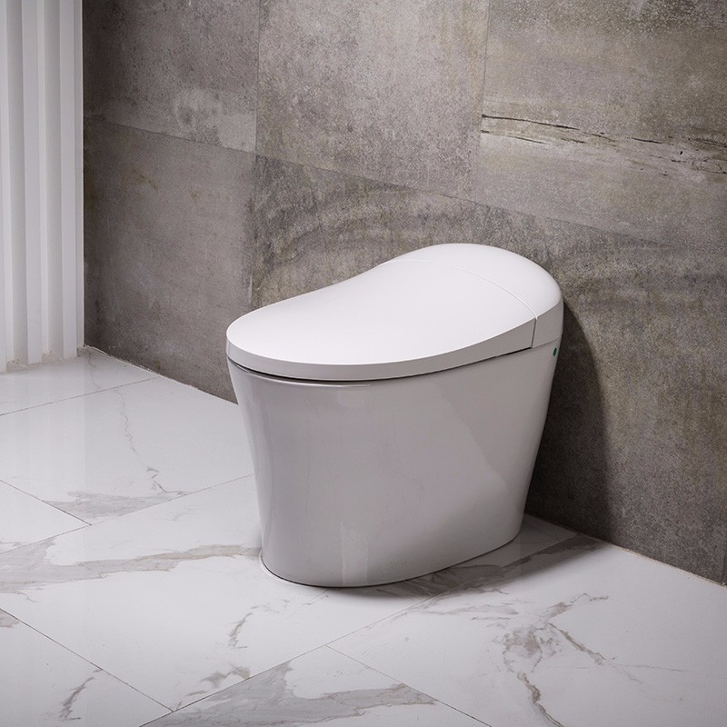Tankless self open warm water intelligent wc toilet
