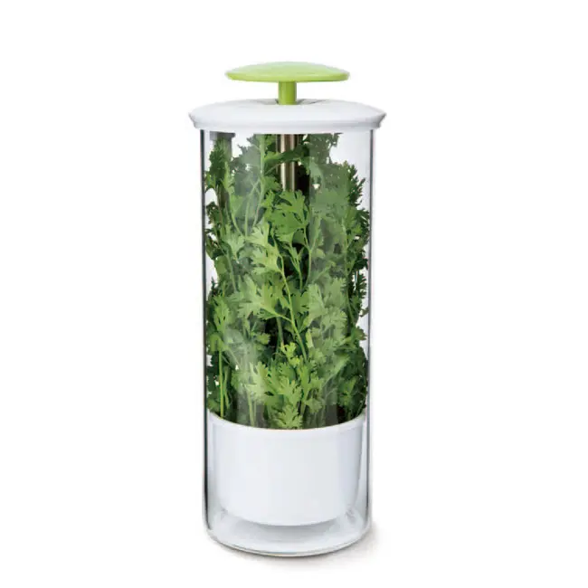 SINO GLASS Green fresh vegetable Borosilicate Glass Herb Keeper