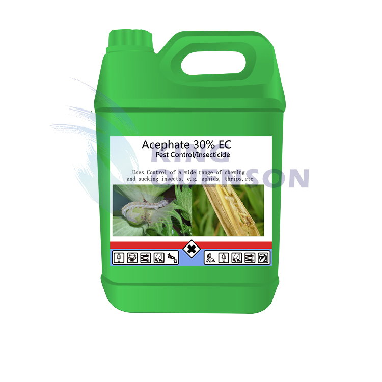 King Quenson CAS NO.30560-19-1 Insecticide Acephate 95%sg