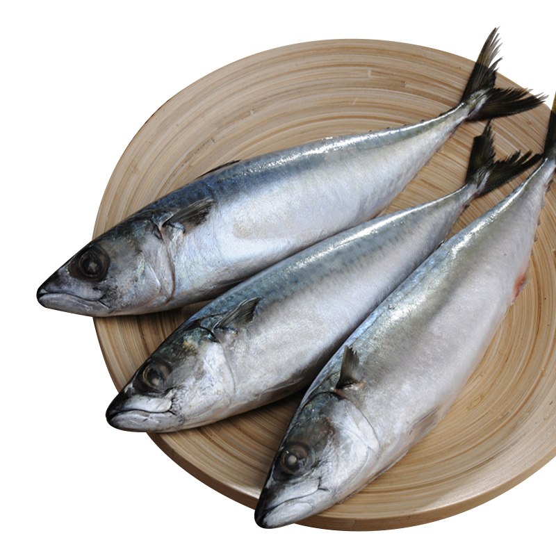 Тихоокеанская скумбрия, готовая к отправке, морепродукты, замороженные