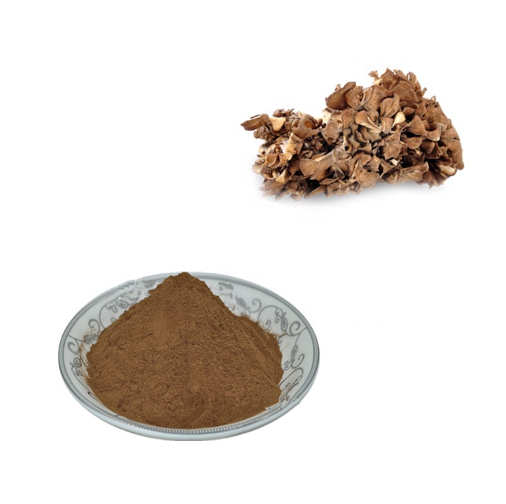 Health Care Grade Pure Maitake Mushroom Extract Powder