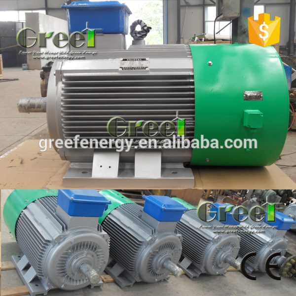 50KW 200 ОБ./МИН. генератора с постоянными МАГНИТАМИ PMG трехфазный AC синхронный генератор
