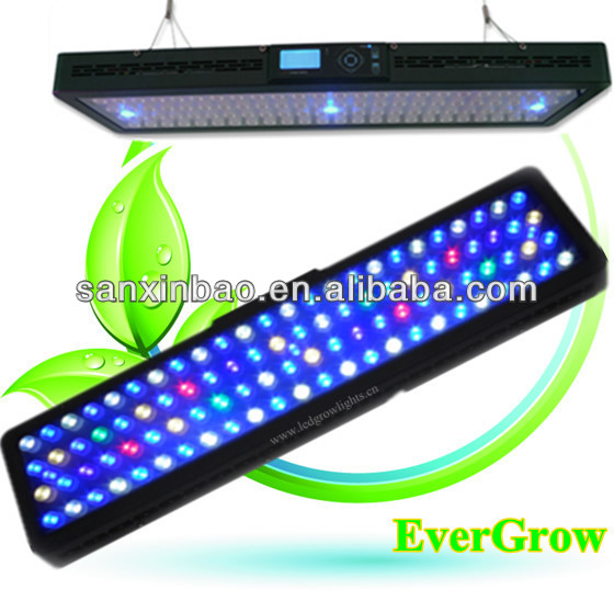 Evergrow не IT2080