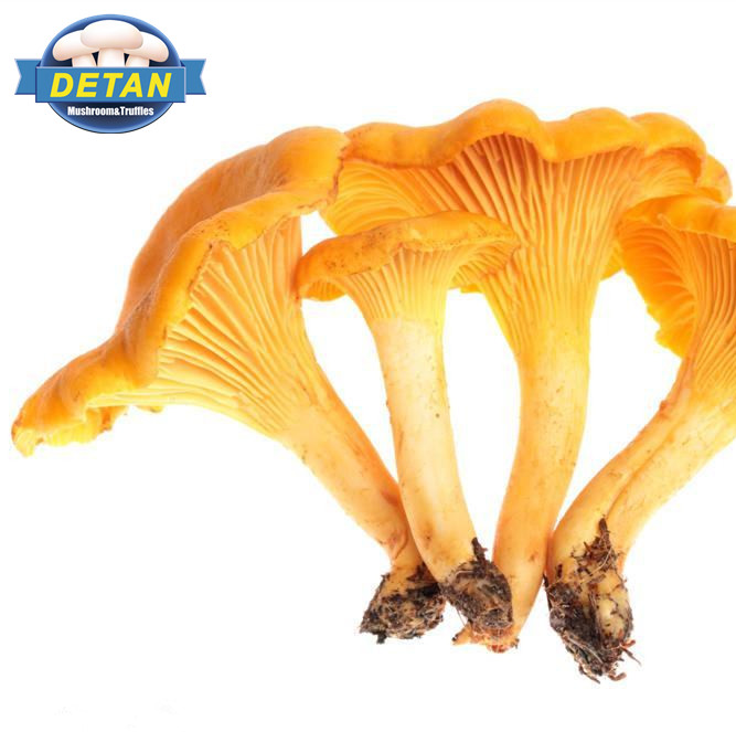 Detan Fresh Wild Chanterelle, цены