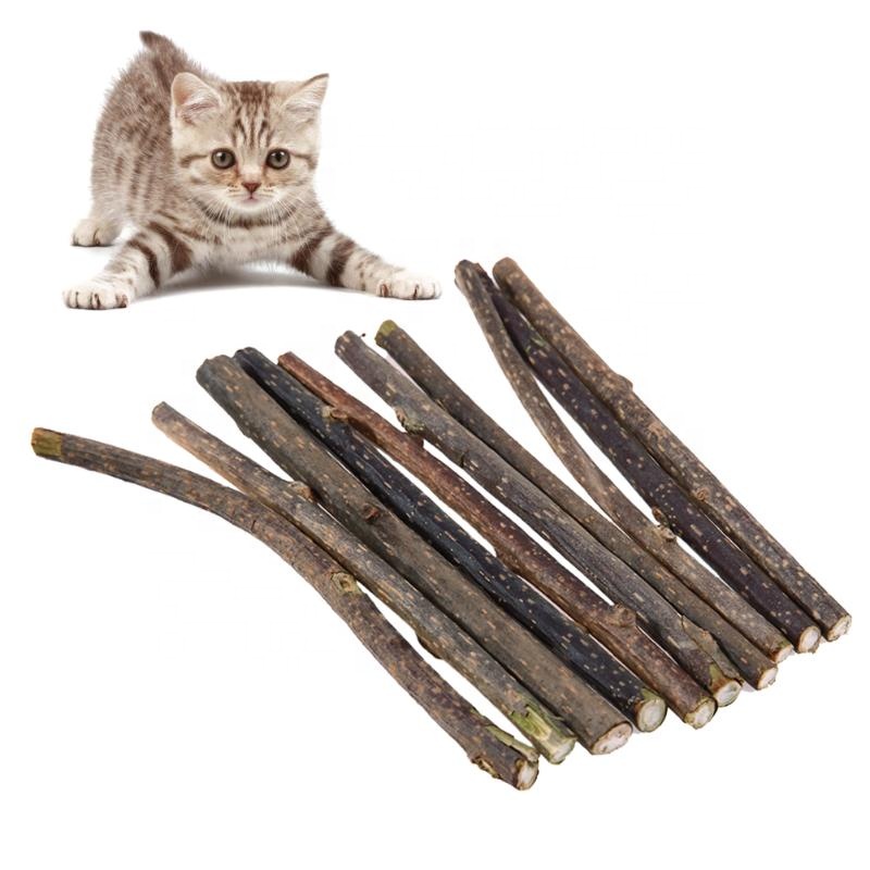 FY5pcs fashion Pure Natural Catnip Pet Cat Toy Molar Toothpaste Branch Cleaning Teeth Silvervine Cat Snacks Sticks Pet Supplies