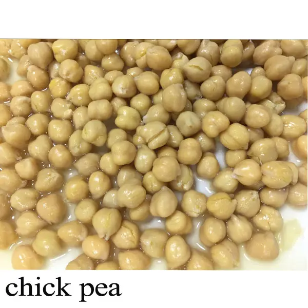 Canned Chick Pea in Water