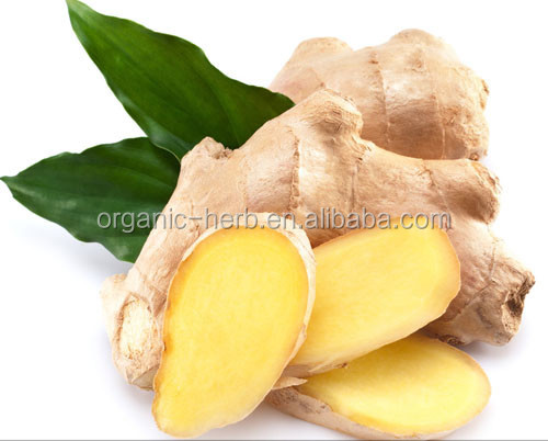 Сверхкритической экстракции имбиря, экстракт 6-gingerol 90%