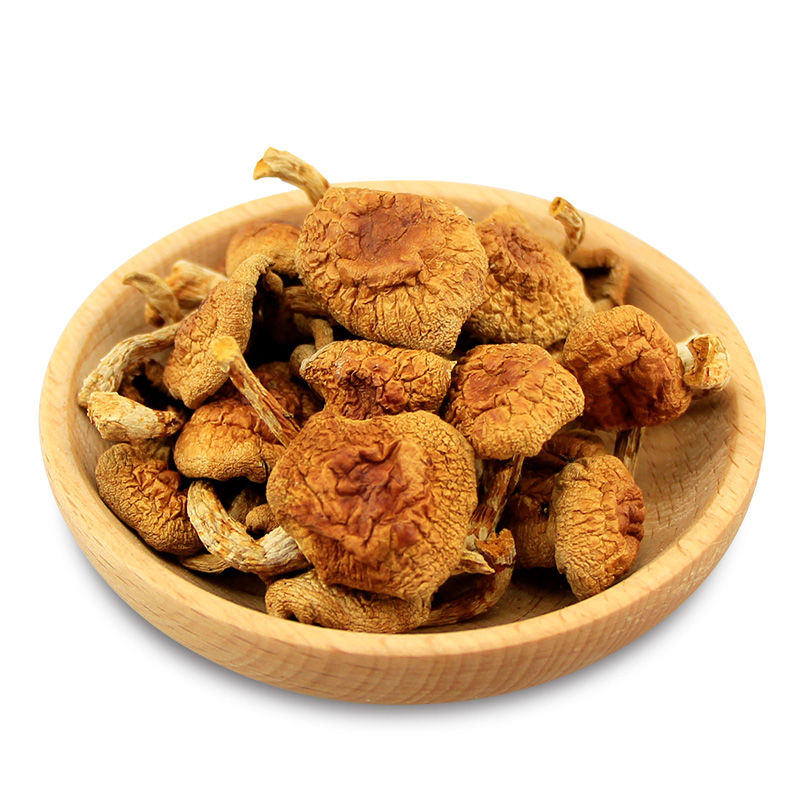 Best selling nutritious food hazelnut mushroom