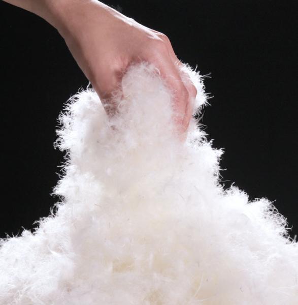 Fluffy washable white goose feather and down