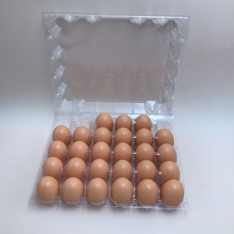 СЯМЭНЬ XIEFA 5X6 = 30 ШТ. ДЛЯ СРЕДНЕГО РАЗМЕРА ЯЙЦА ЛОТОК
