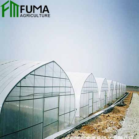 FUMA Однопролетная пленка томатная Клубничная туннельная теплица для продажи