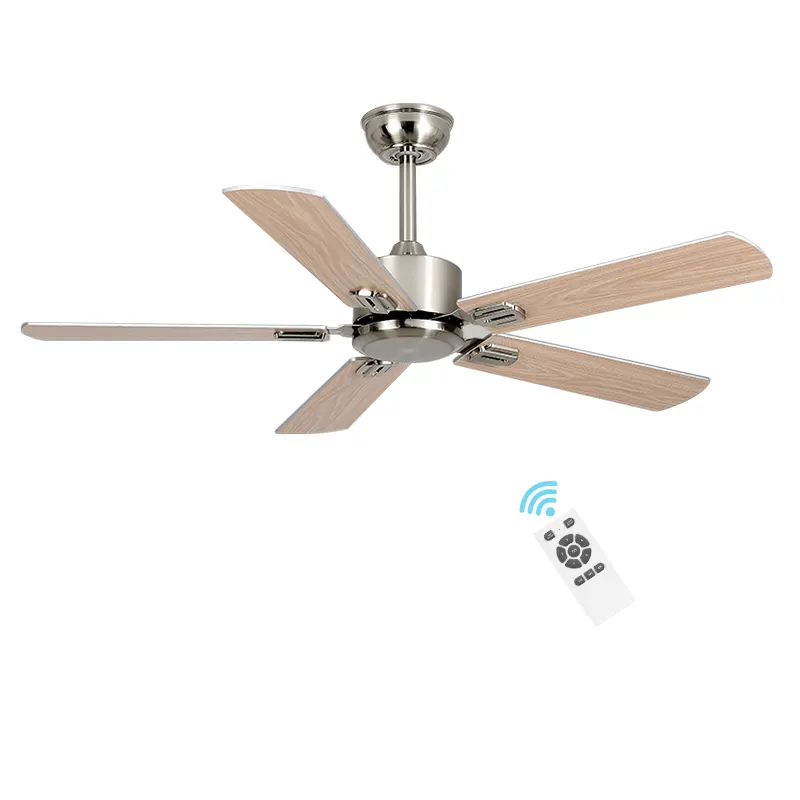 Factory Direct Sale Low Noise Pure Copper Dc Motor Stainless Steel 5 Blades BLDC 220 Volt Modern Ceiling Fan