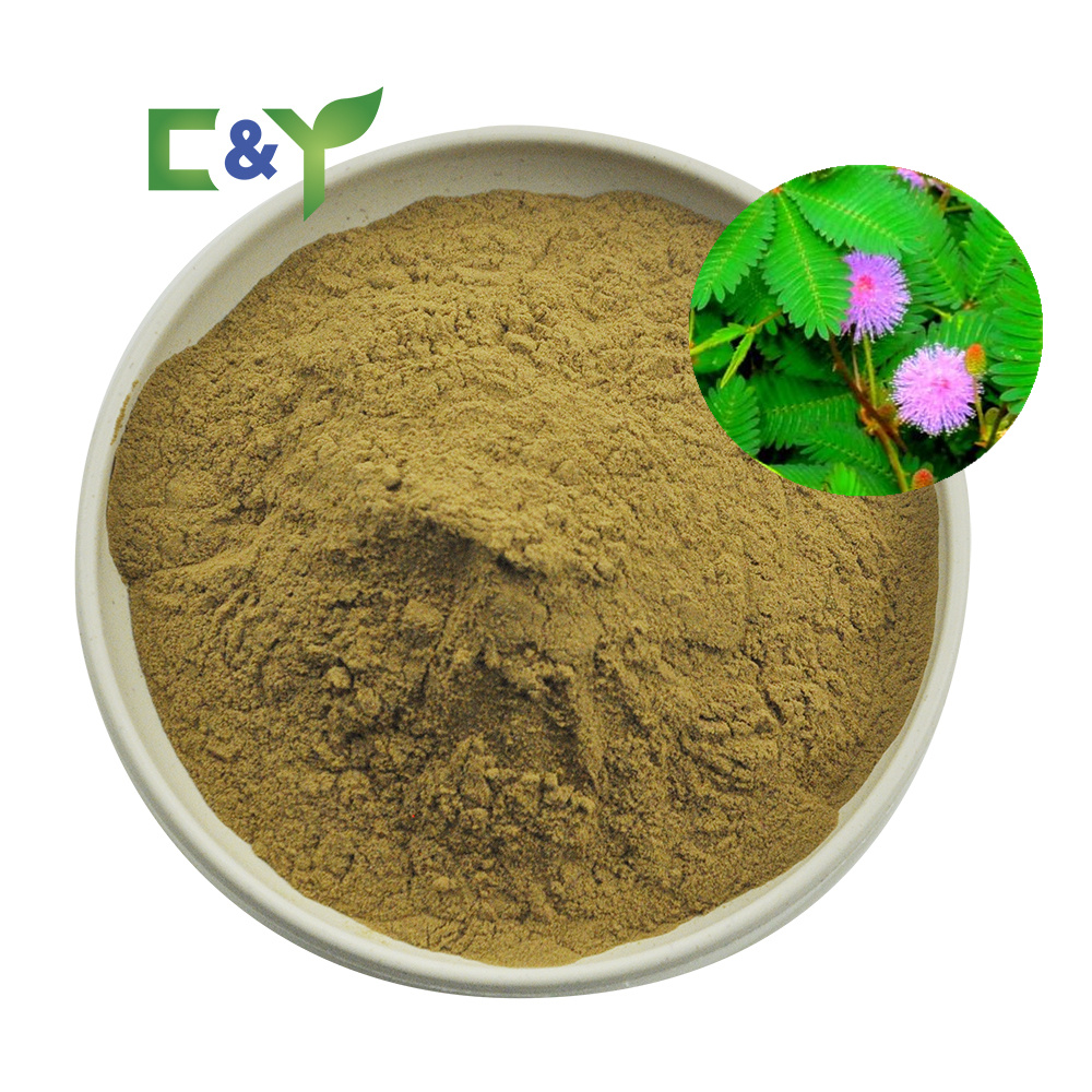 Natural Mimosa Root Extract Powder, High-Quality, Factory Supply, 20:1