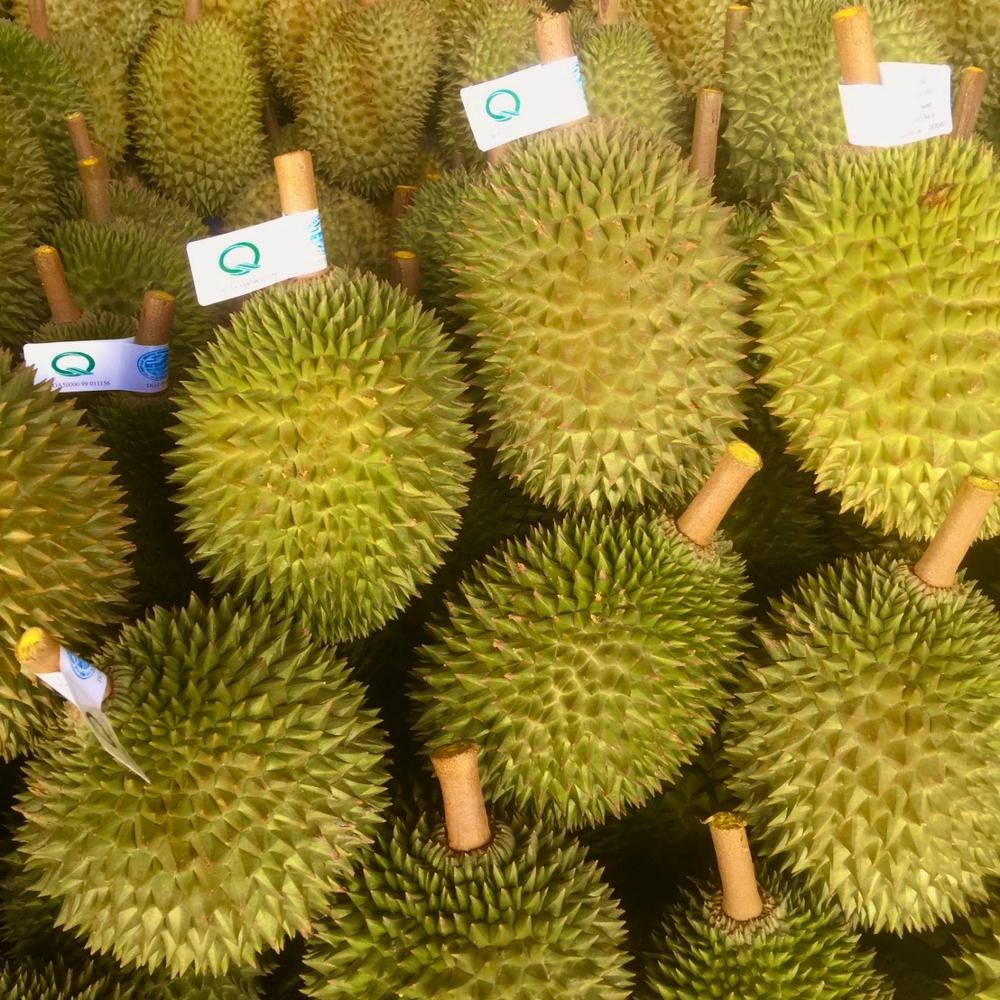 Качественный свежий дуриан фруктовый продукт Kan Yao из Таиланда