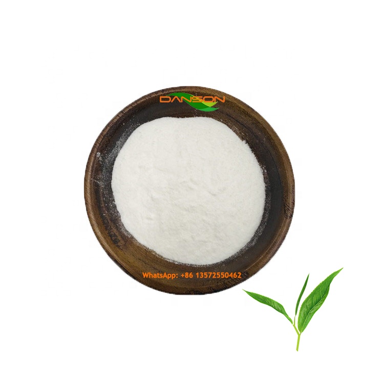 Natural L Theanine Powder Bulk Green Tea Extract L Theanine Powder L Theanine