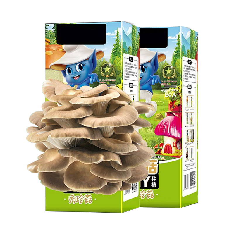 Лидер продаж, пакет для выращивания грибов, семена грибов spawn Pleurotus Ostreatus, пакеты для выращивания грибов