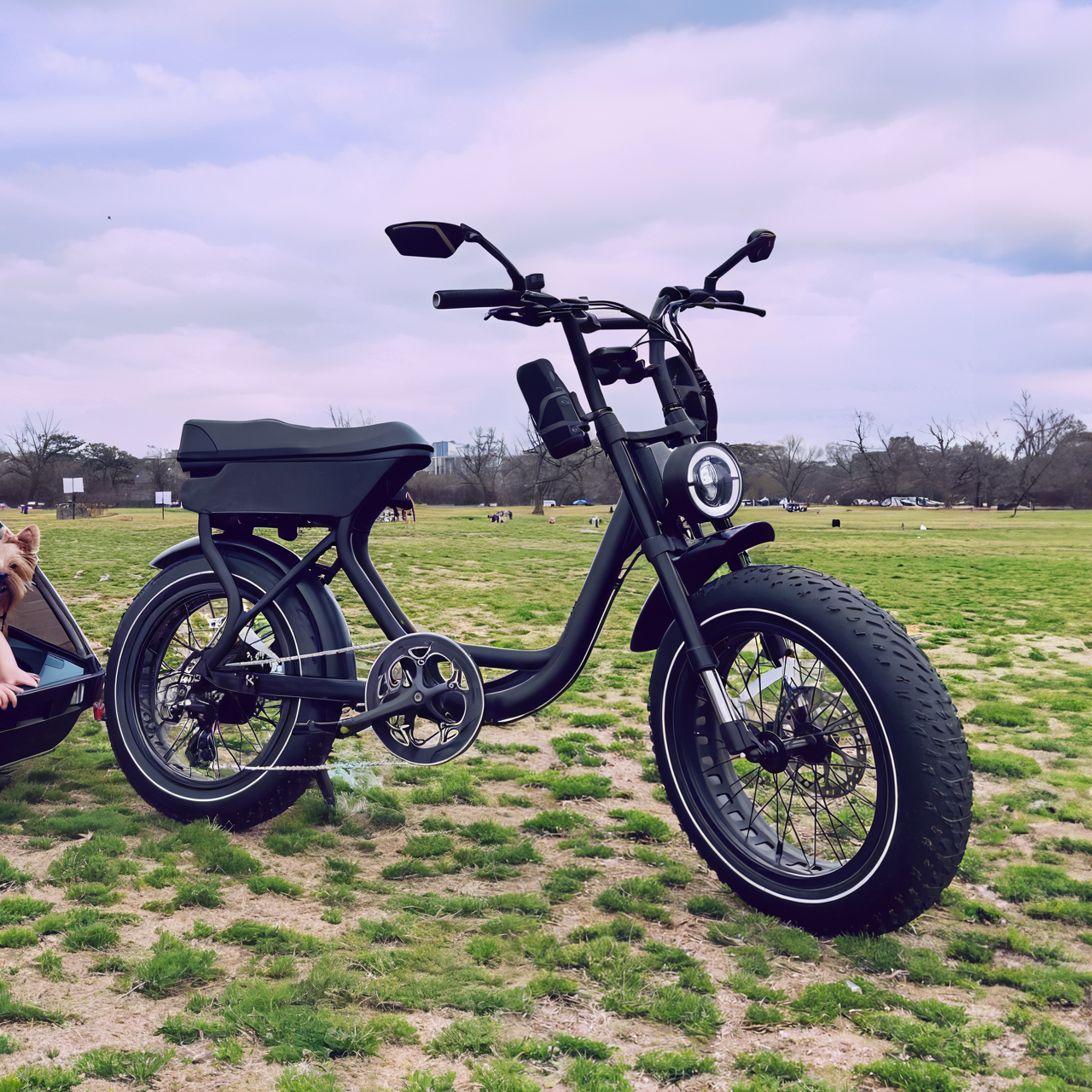 US/EU Warehouse in Stock Chinese Factory Off-Road E-bike High Quality Dual Motor Customize Snow Bicycle