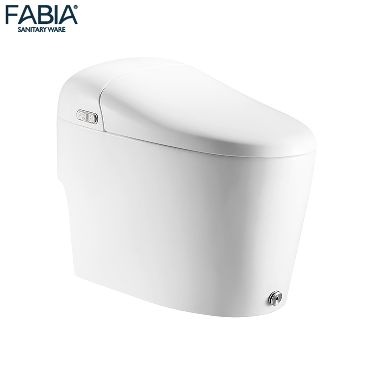 Hot Selling Intelligent Smart Toilet Bowl Seat p Trap European Style