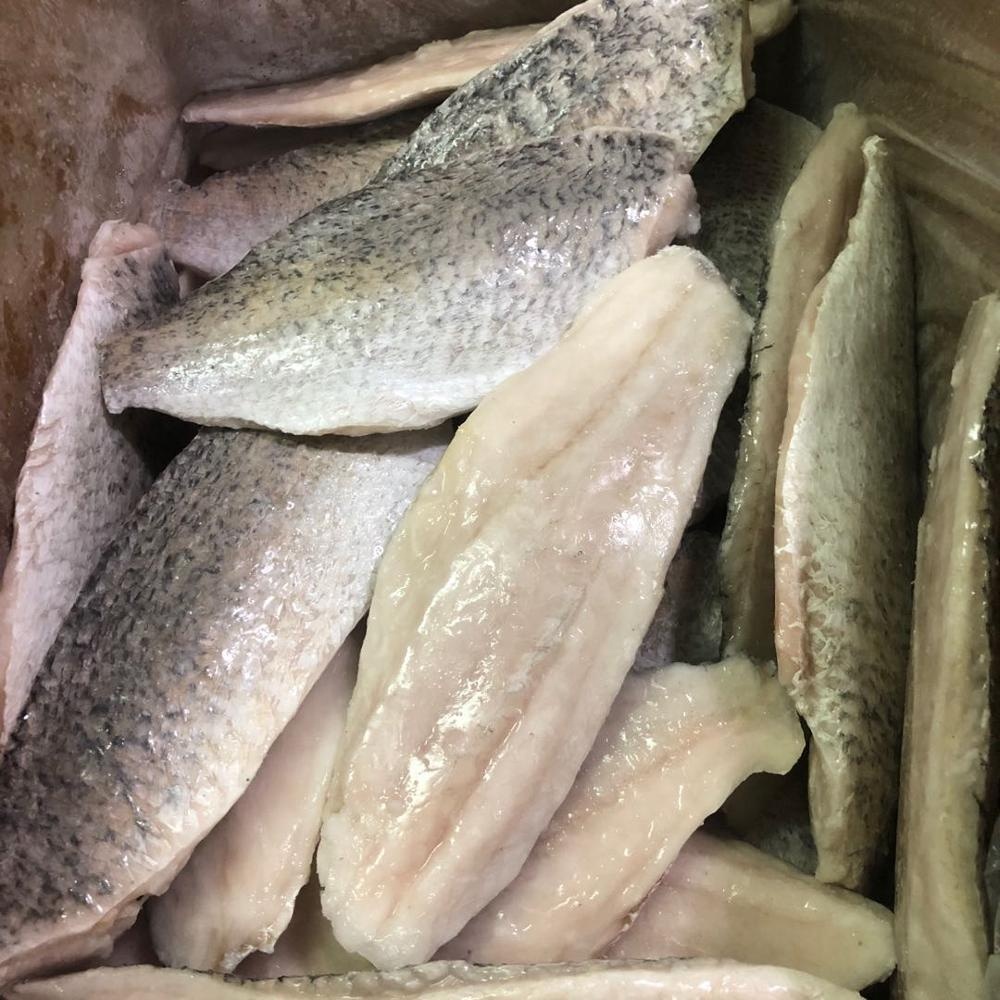 Замороженные баррамунди филе морской поймать