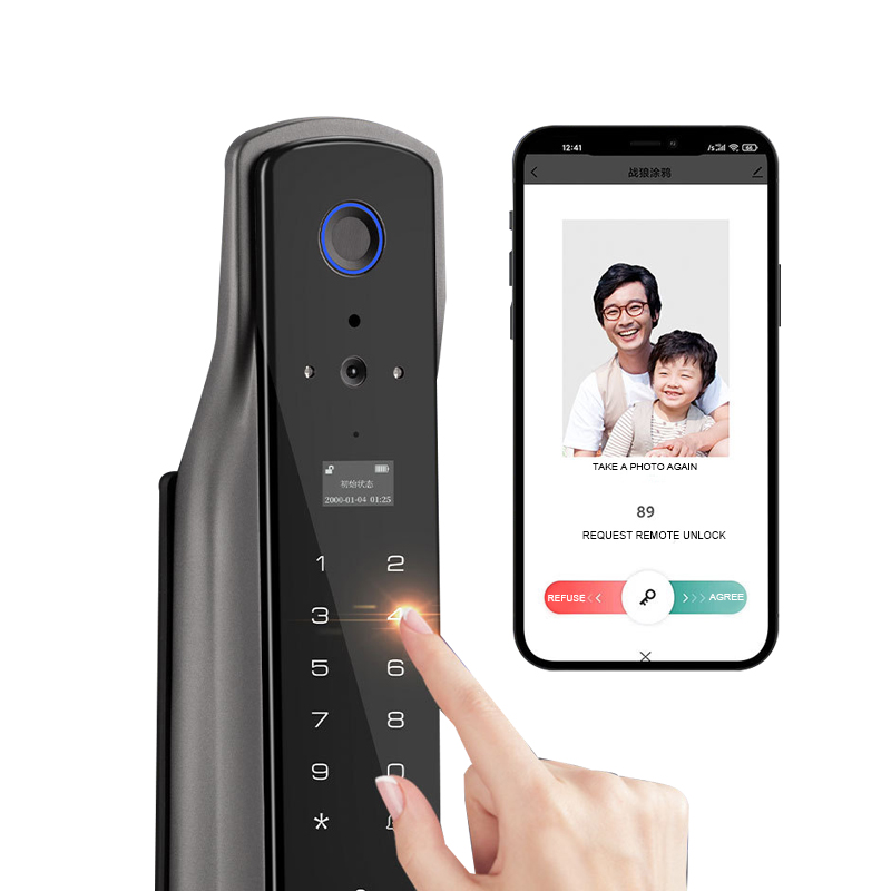 Electric Lock Tuya Biometric Fingerprint Electronic Door Lock Keyless Entry Smart Lock for Door Wholesale