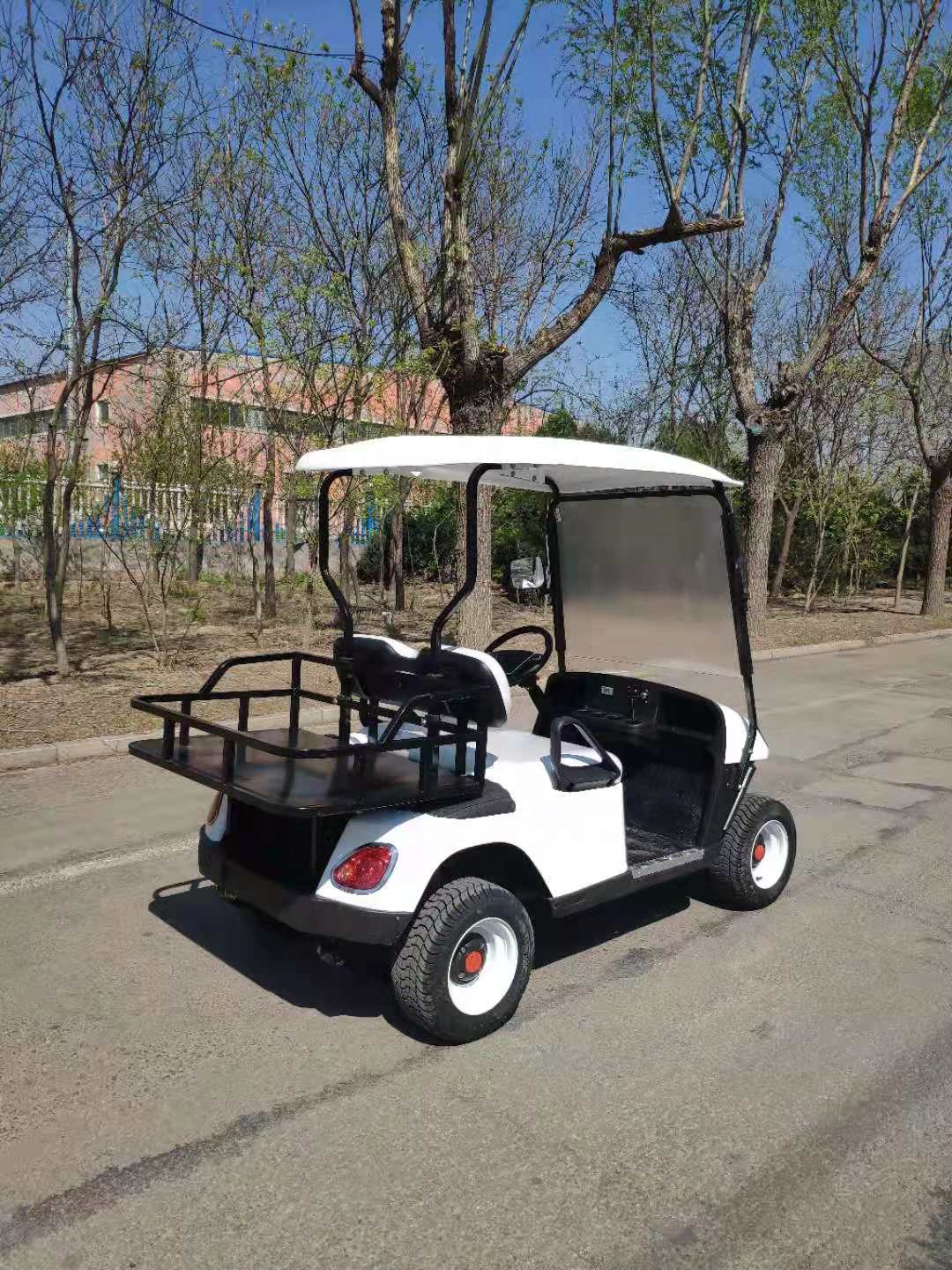 2021 Welift China Cheap High Quality 8 Passenger 4x4 seater Tourist Car Electric Golf Cart