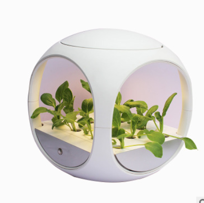 Комнатная кухонная гидропонная система выращивания овощей Aquaponics