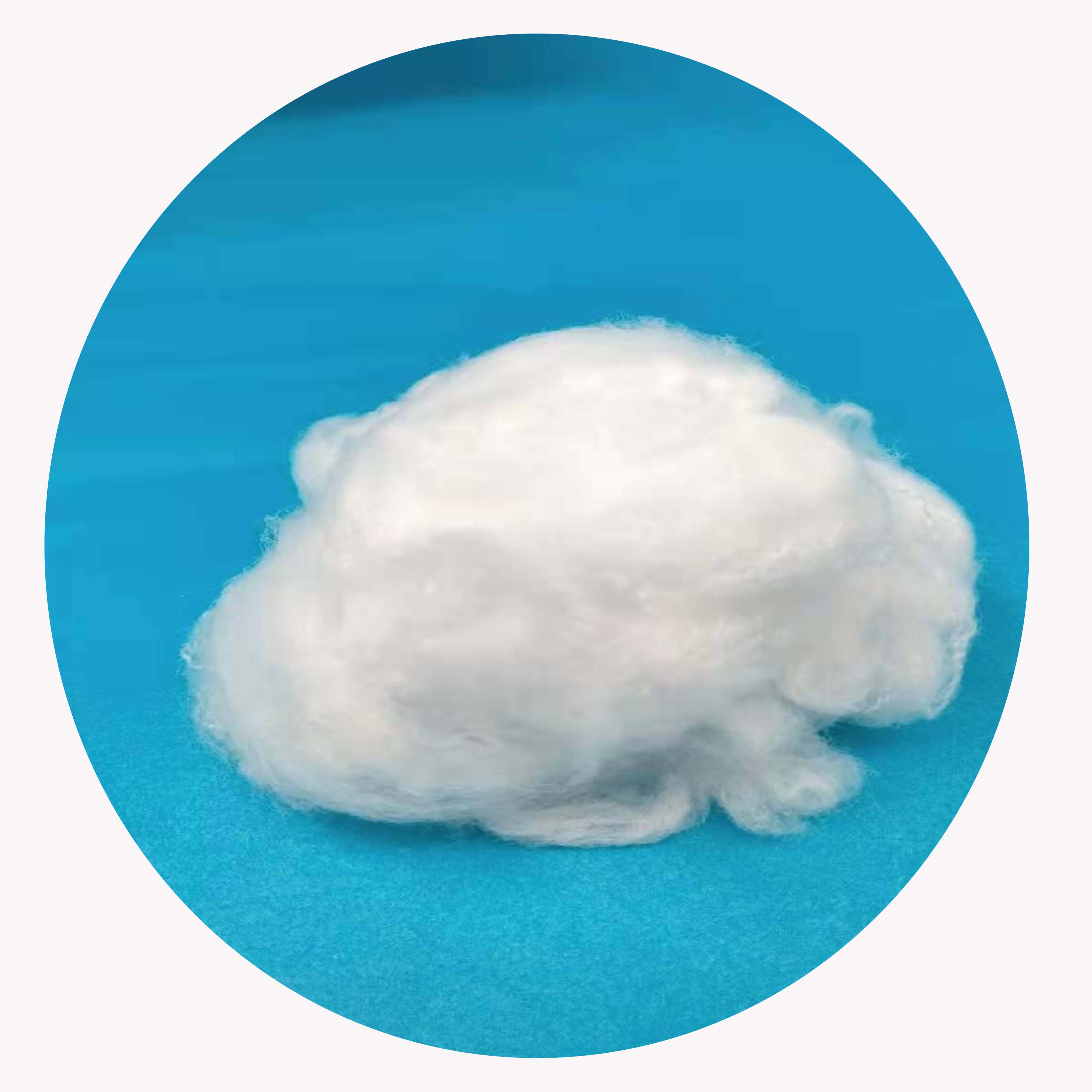 Sustainable Semi Dull Polyamide Staple fiber for Nonwoven