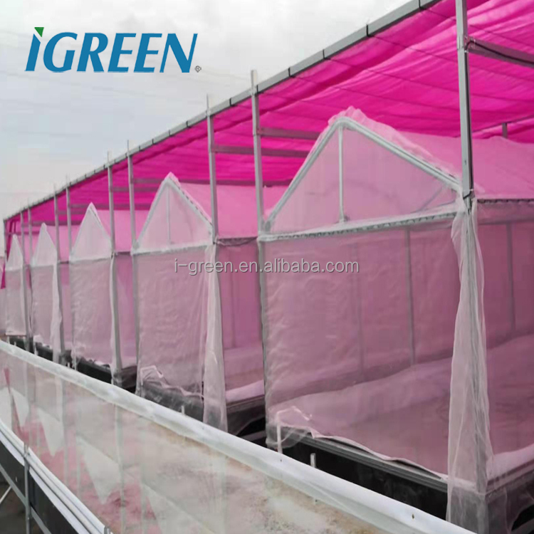 shade net and insect net greenhouse structure agricultural for NFT and DWC deep water culture hydroponics system