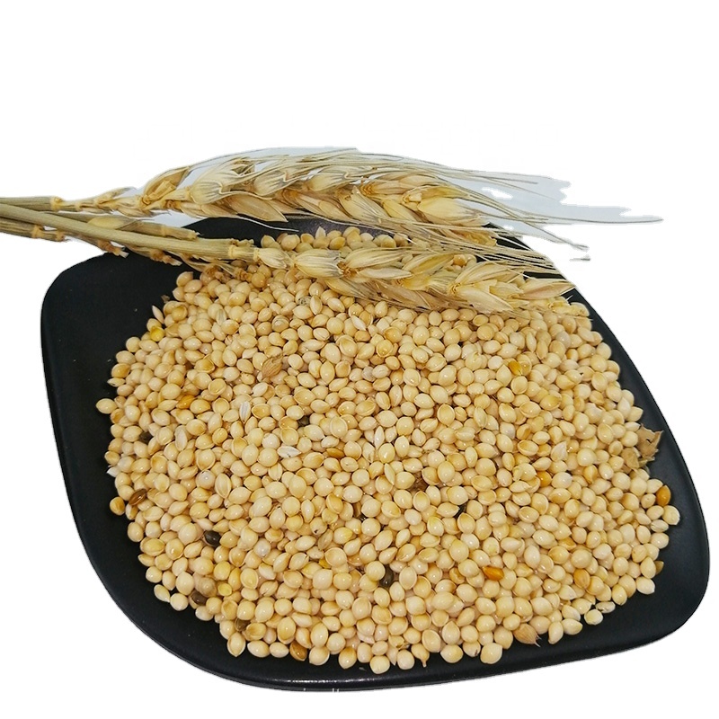 Продажа семян пса, здоровые питательные сельскохозяйственные продукты, лучшее качество, белый пшон для корма птиц